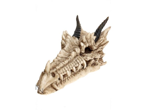 Dragon Skull Incense Holder