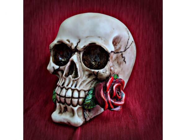 Rose from the Dead Skull Figure