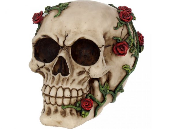 Red Rose From Beyond Skull Figure