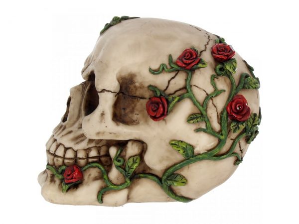 Red Rose From Beyond Skull Figure