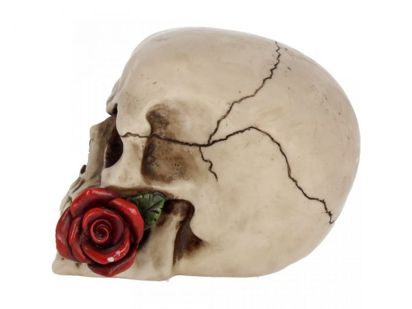 Rose from the Dead Skull Figure