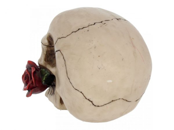 Rose from the Dead Skull Figure