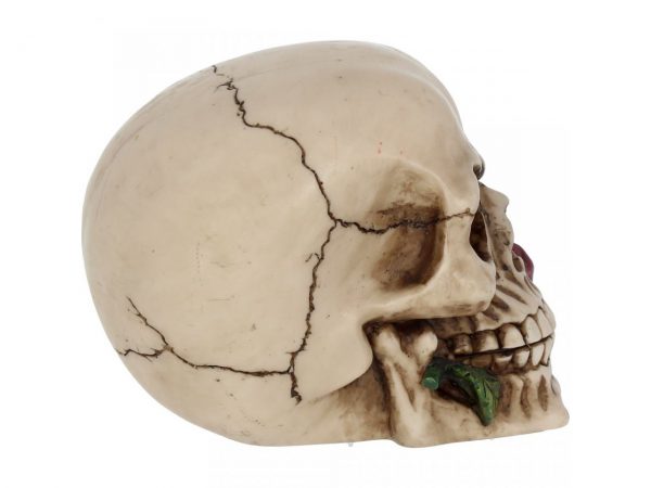 Rose from the Dead Skull Figure