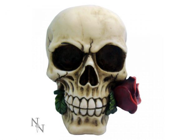 Rose from the Dead Skull Figure