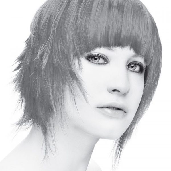 Stargazer Silver Hair Dye