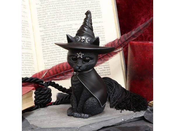 Purrah Cat Nemesis Now Witch Occult Witchcraft Familiar Spiritual Dark Spirits Figure Magic Pentagram Skull Cape Witches Hat