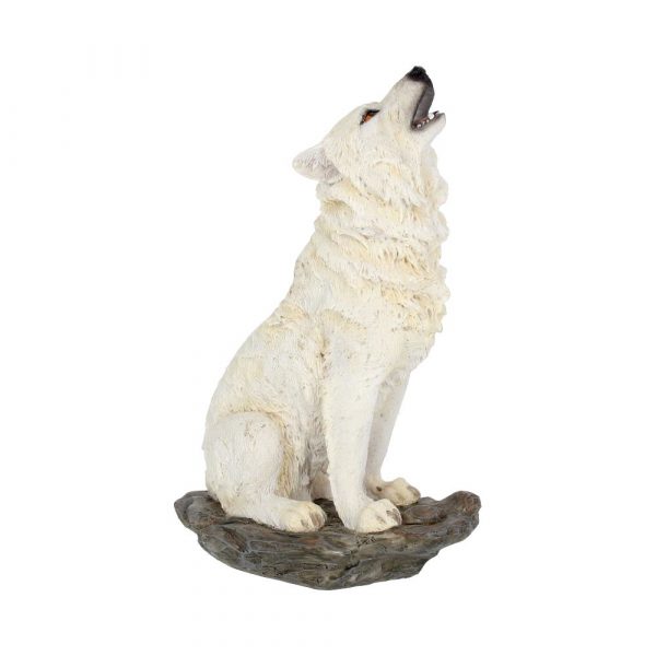 Storms Cry Wolf