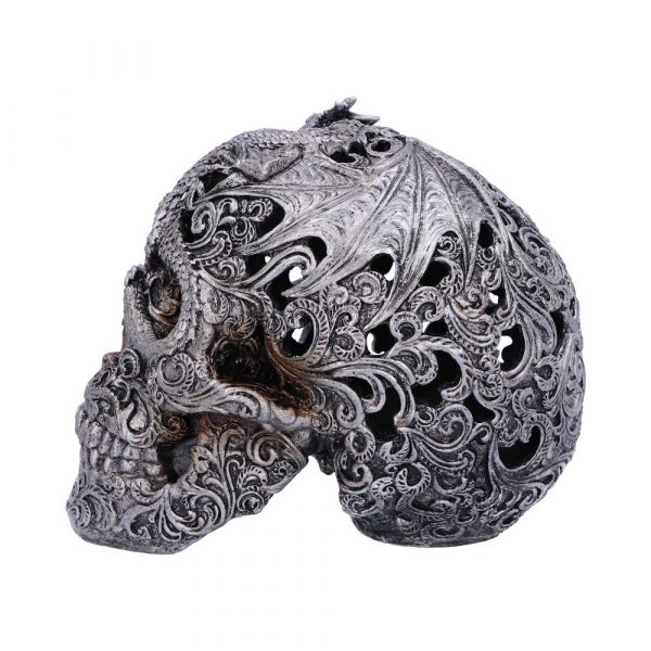Cranial Drakos Skull - Image 3