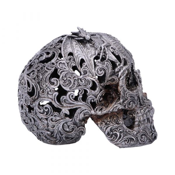 Cranial Drakos Skull - Image 5