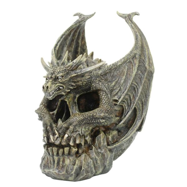 Draco Dragon Bones Skull