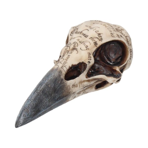 Edgar Raven Skull - Image 7