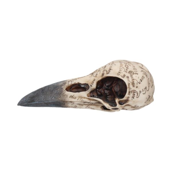 Edgar Raven Skull - Image 8