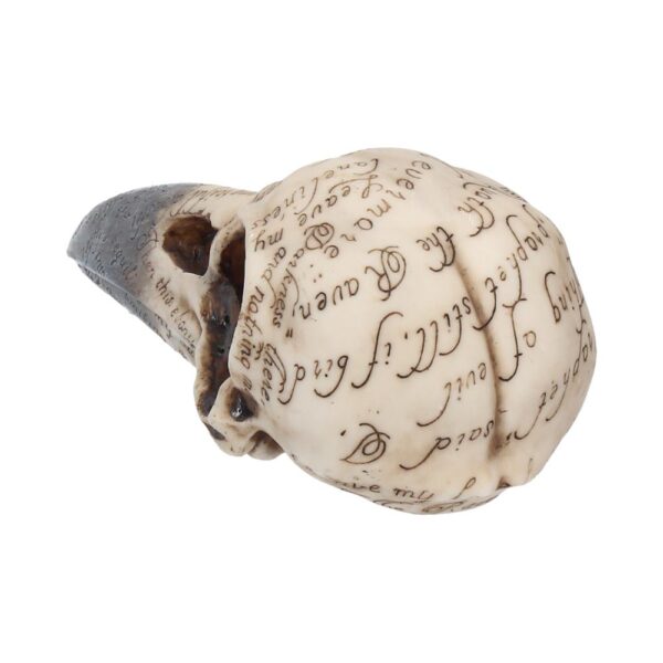 Edgar Raven Skull - Image 2