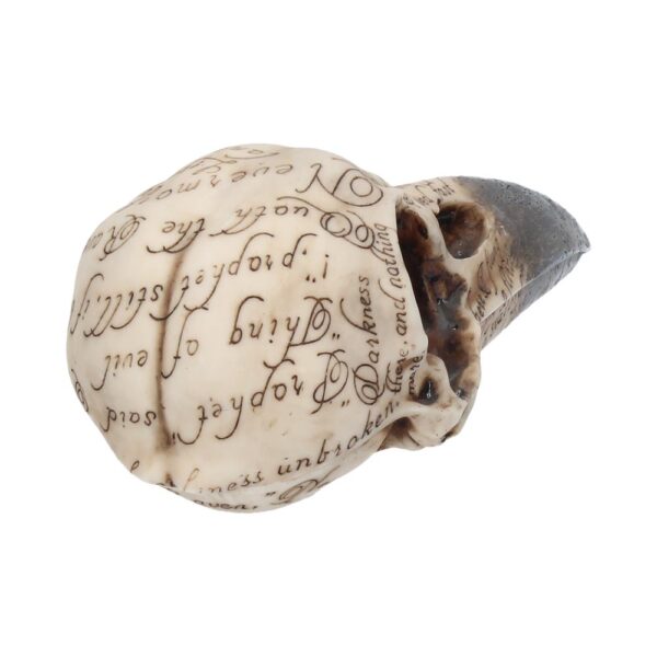 Edgar Raven Skull - Image 3