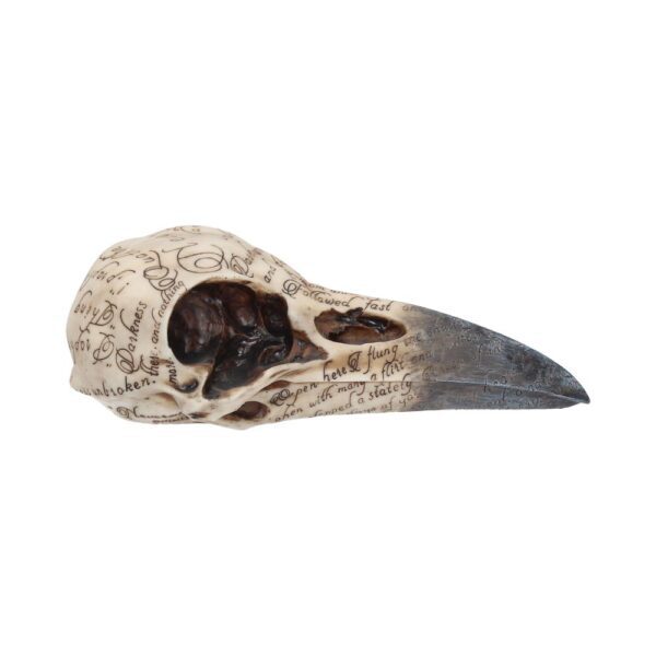 Edgar Raven Skull - Image 4