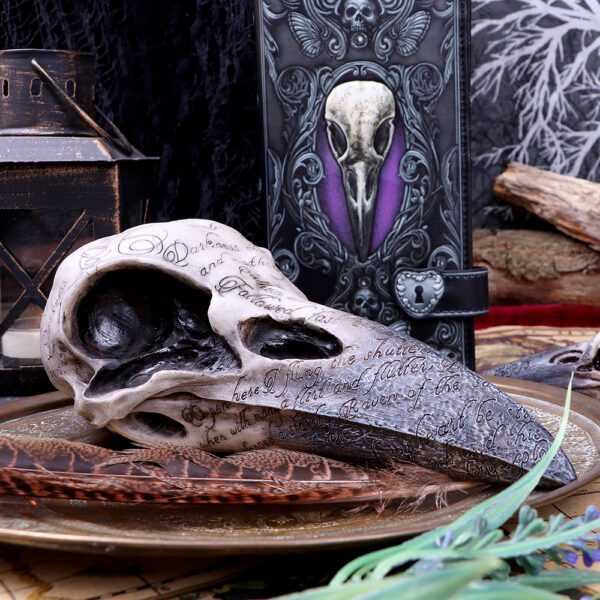 Edgar Raven Skull - Image 5