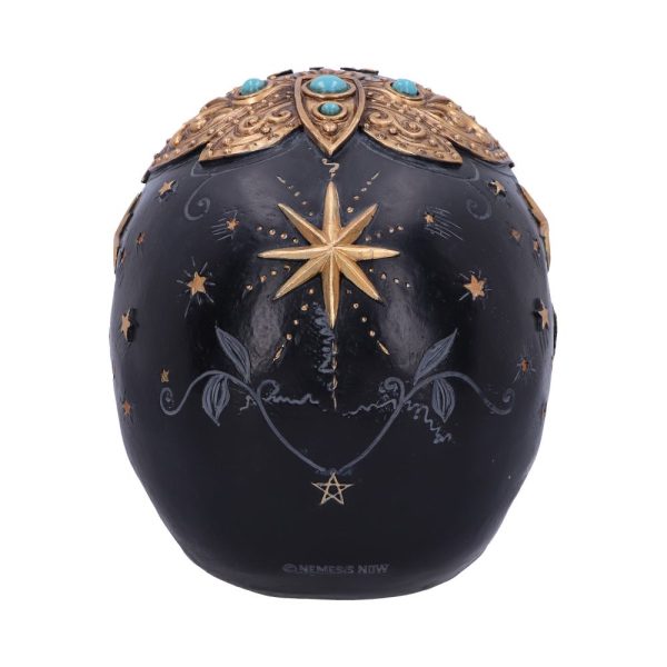 Destiny Palmistry Skull - Image 9