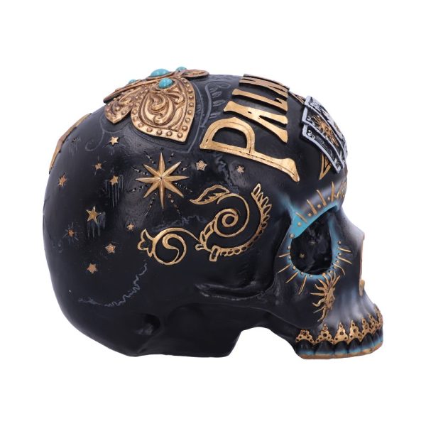 Destiny Palmistry Skull - Image 2