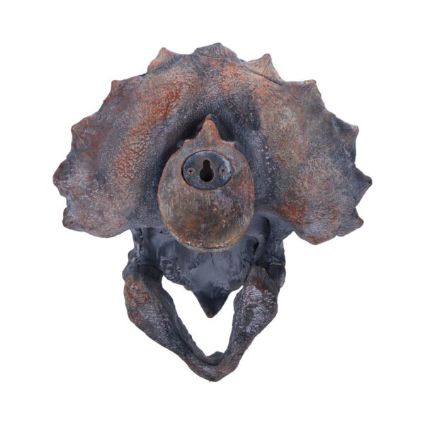 Triceratops Head - Image 8