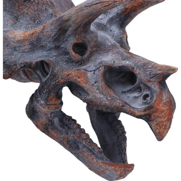 Triceratops Head - Image 3