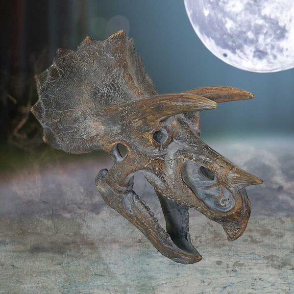 Triceratops Head - Image 5