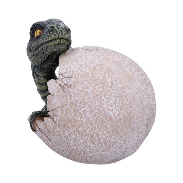 Raptors Dawn - Image 7