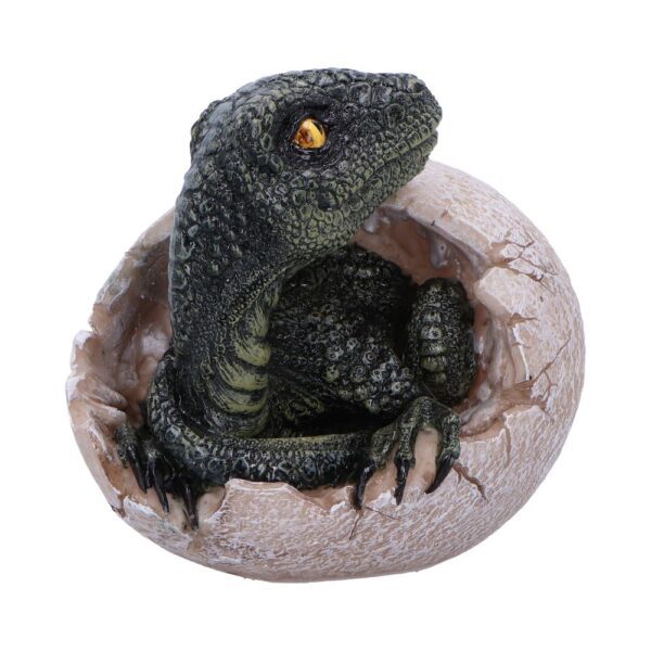 Raptors Dawn - Image 2
