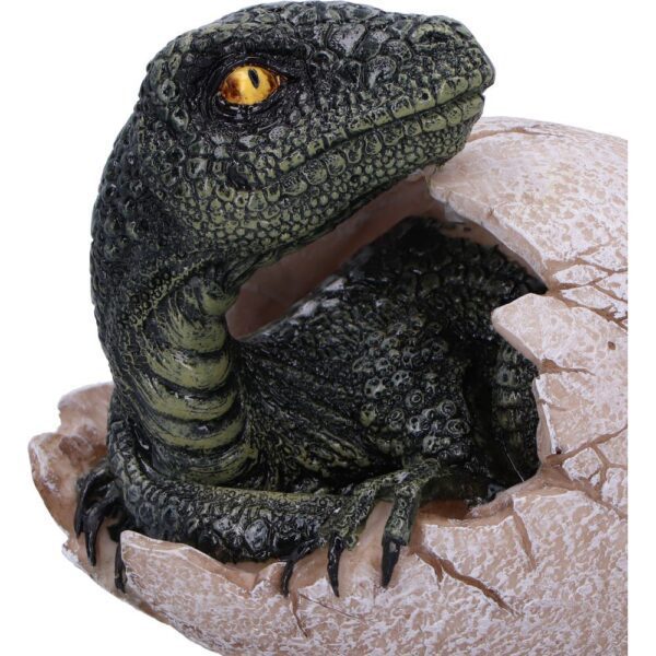Raptors Dawn - Image 3