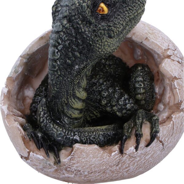 Raptors Dawn - Image 4