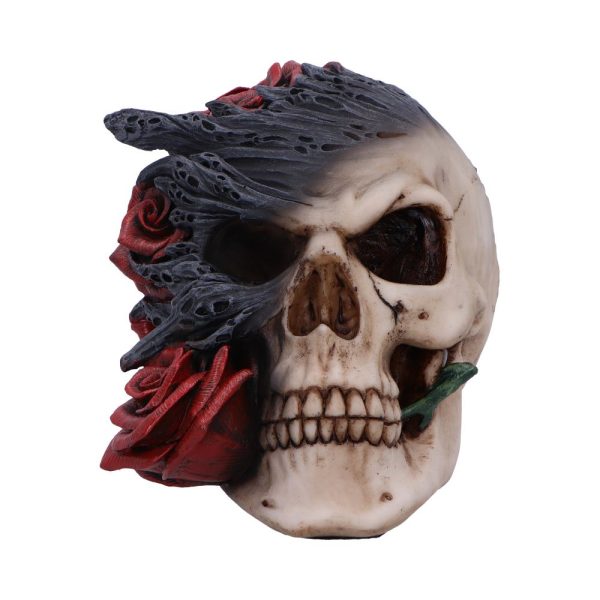 Soul Rose Skull - Image 7