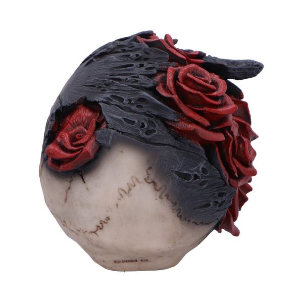 Soul Rose Skull - Image 8