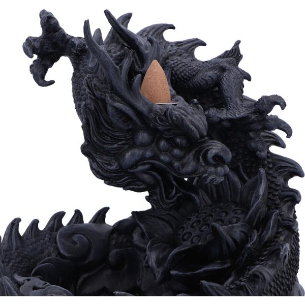 Heilong Backflow Burner - Image 3