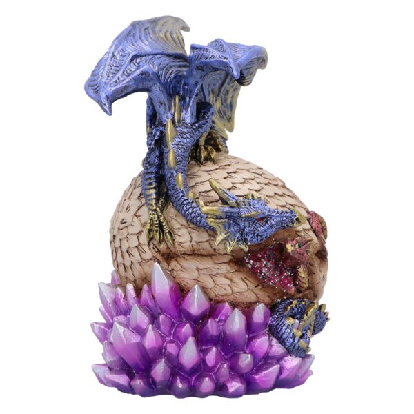 Hide & Seek Dragons - Image 2