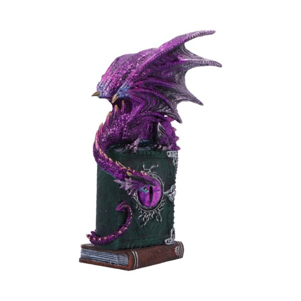 Dragon Fable - Image 2