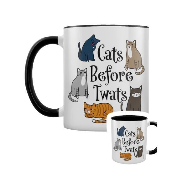 Cats Before Twats Mug